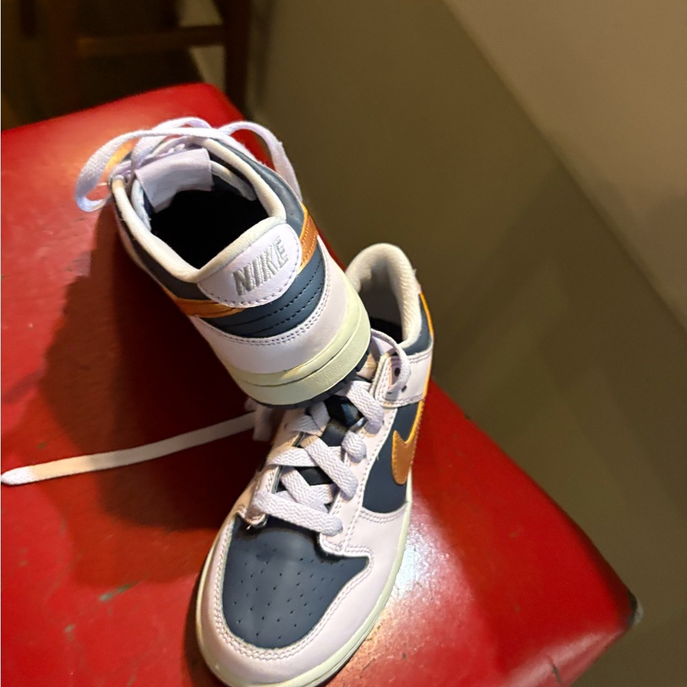 Nike Dunks